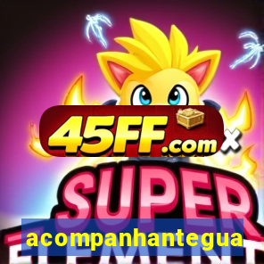 acompanhanteguanambi