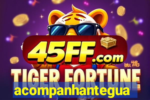 acompanhanteguanambi