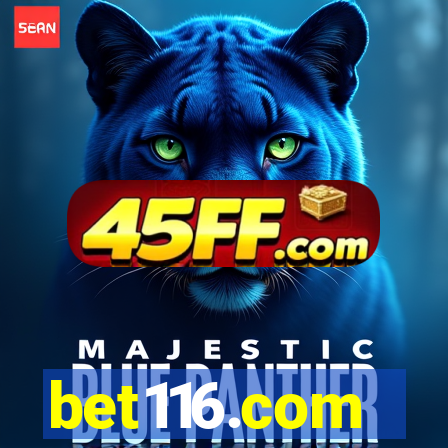 bet116.com