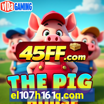 el107h161q.com