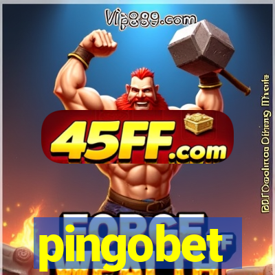 pingobet