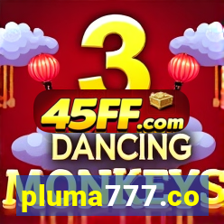 pluma777.co