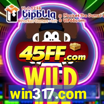 win317.com