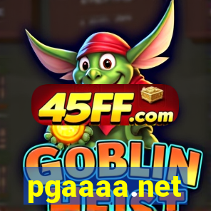 pgaaaa.net