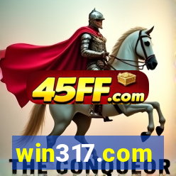 win317.com